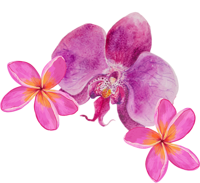 Orchids